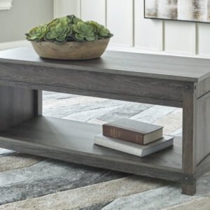 Modern Heritage Freedan Lift-Top Coffee Table in Gray
