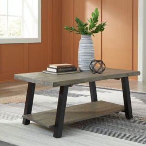 Modern Heritage Brennegan Wood Top Coffee Table in Gray